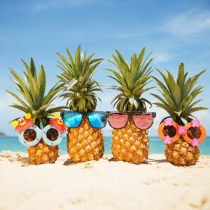 Summer_pineapple people_square